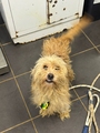 BORA (LOLA) Imagen 1